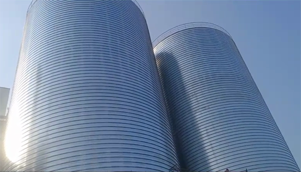 扶余2座混凝土高架卷板仓